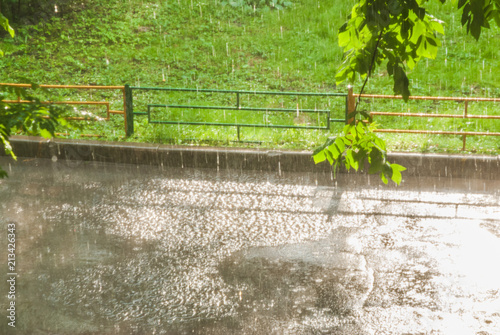 The rain outside the window, a sunshower or blind rain. The sun shines. Wet trees