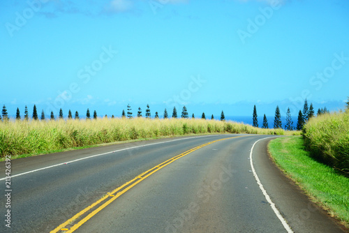 カーブした道路