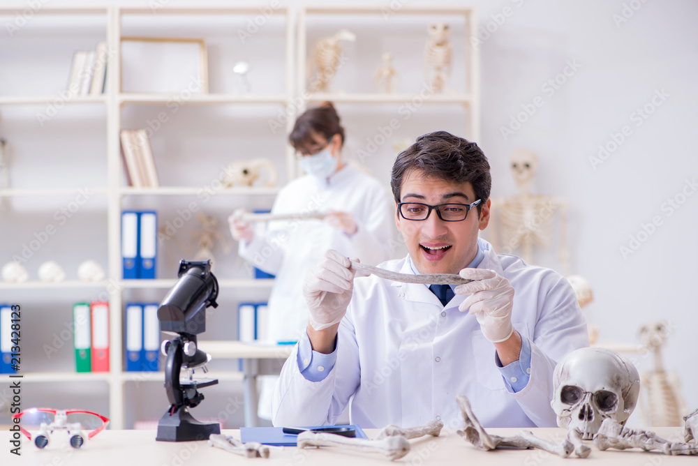 Obraz premium Professor studying human skeleton in lab