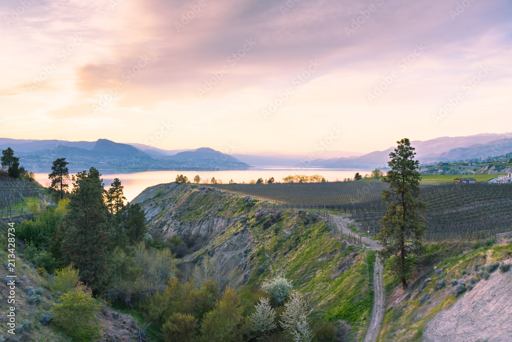 Sunset view of vineyards, Okanagan Lake, and mountains from the Kettle Valley Rail Trail in spring
