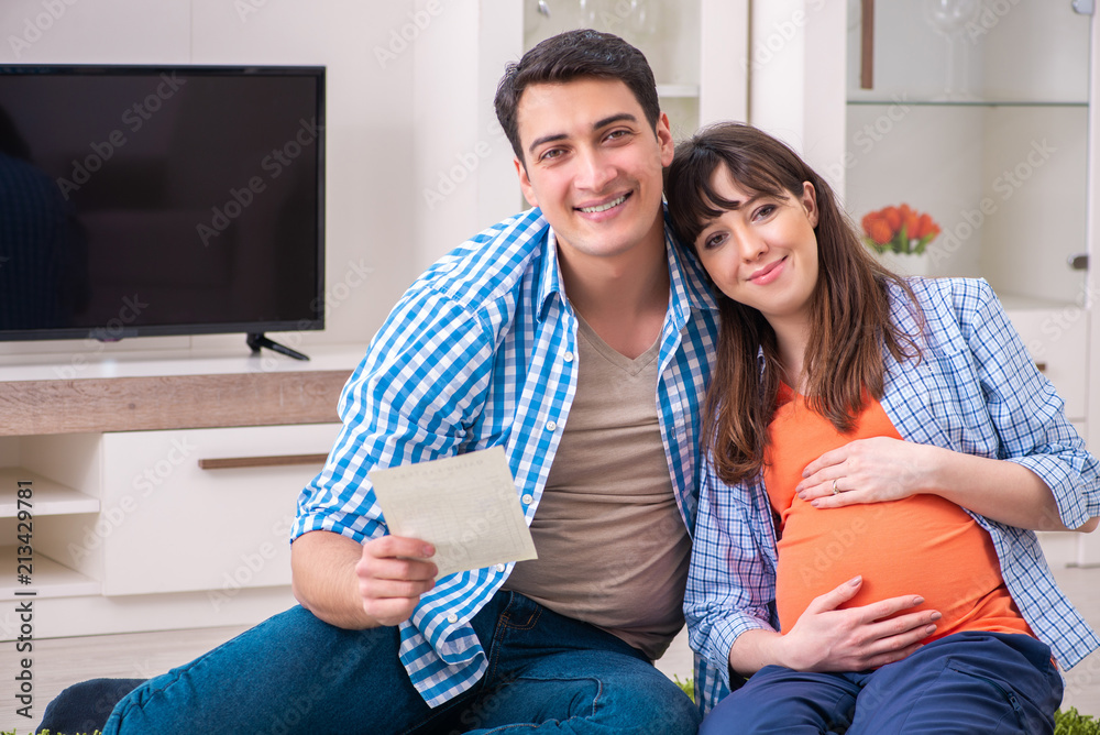 Young family in budget planning concept Young family in budget planning concept