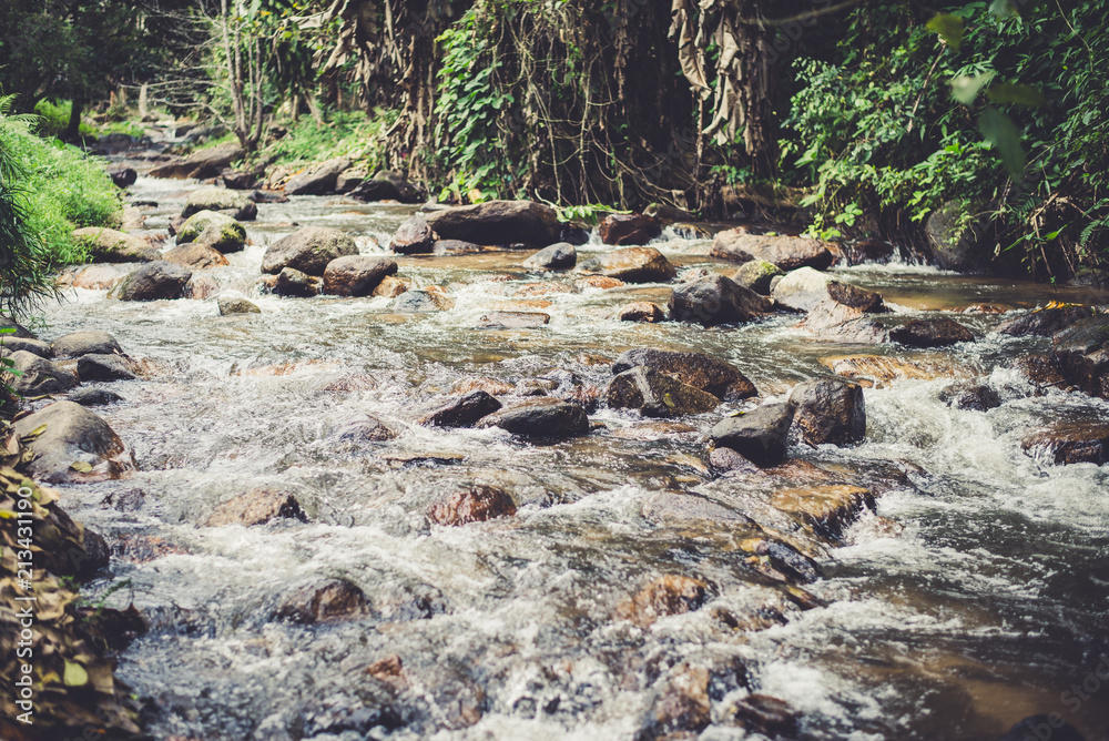 Obraz premium Waterfall in the forest