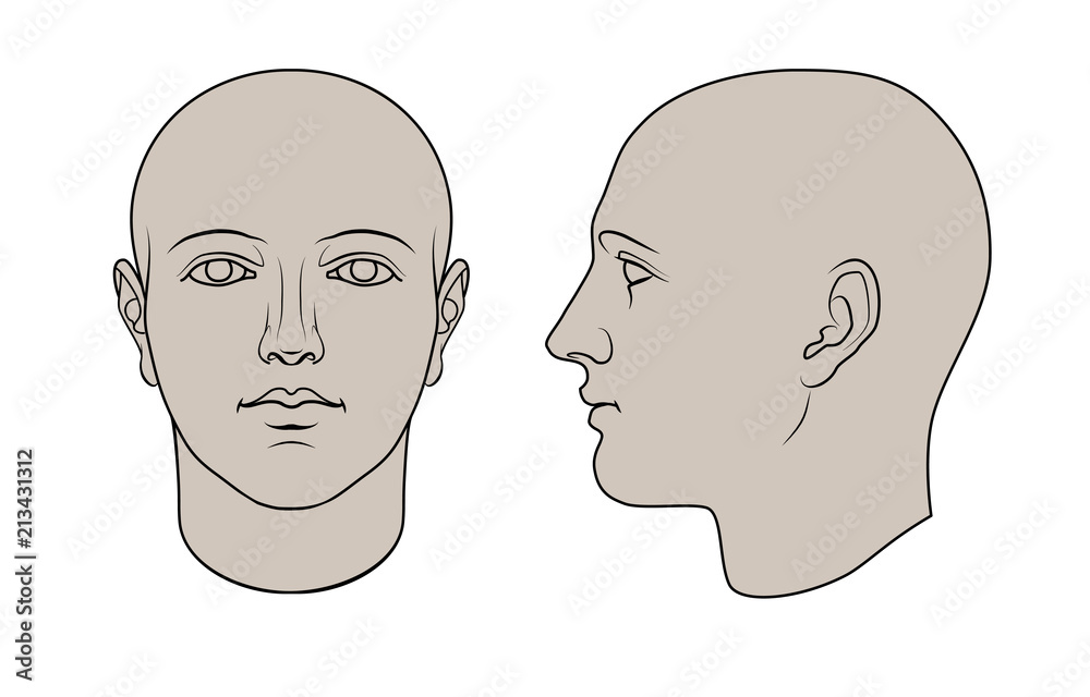 Obraz premium Hand drawn androgynous, gender-neutral human head in face and profile. Colorable flat vector isolated on white background. The drawings can be used independently of each other.