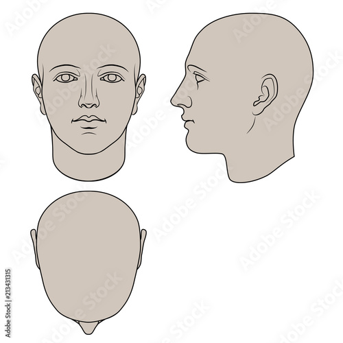 Hand drawn androgynous, gender-neutral human head in face, profile and top views. Colorable flat vector isolated on white background. The drawings can be used independently of each other.