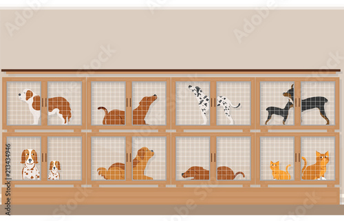 Cages of dogs and cats for sale in pet store.