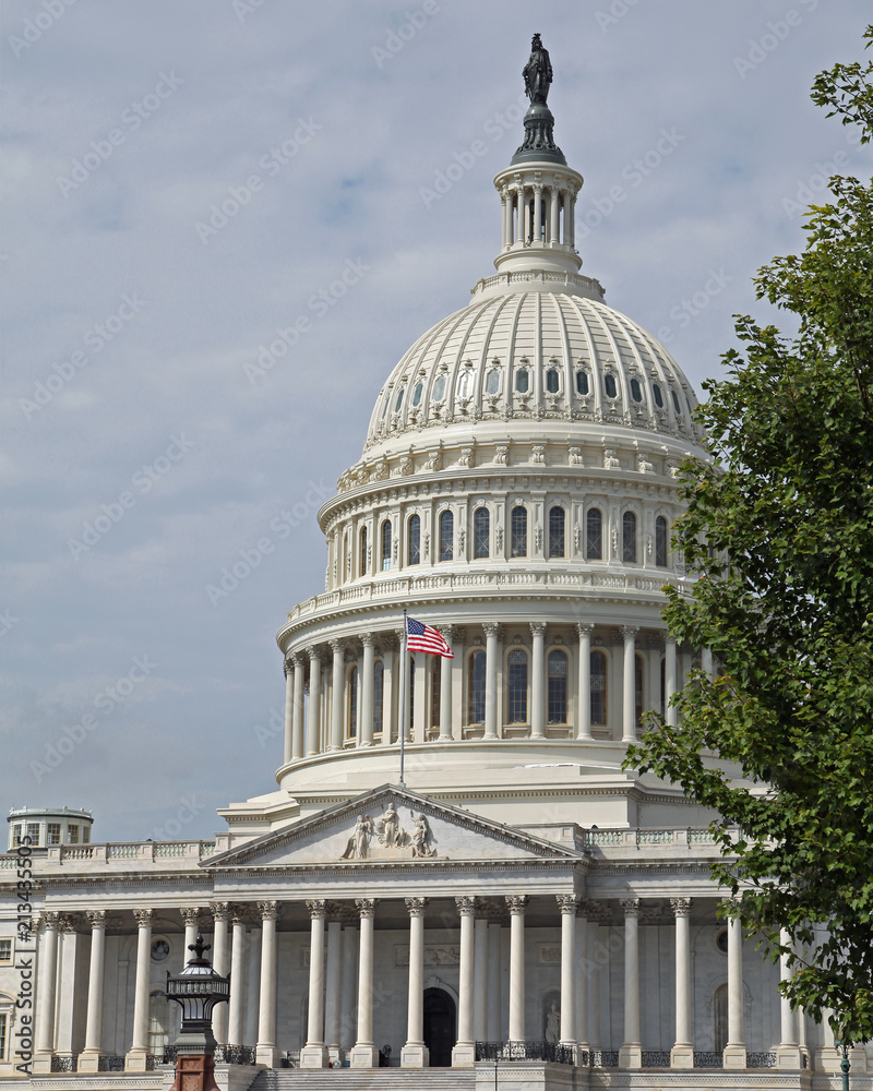 Obraz premium Washington Capital