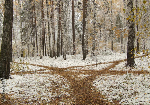 Snow trails