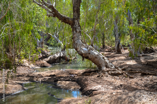 The Cobbold Gorge