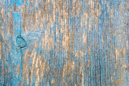 Natural background - an old tree texture, uneven painted blue, turquoise peeling paint