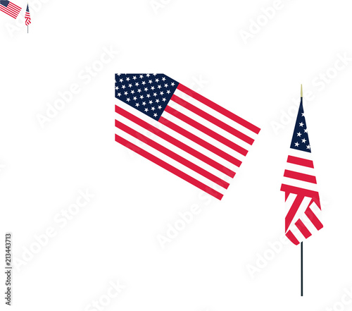 American flag or Flag of the United States symbol icon on background vector