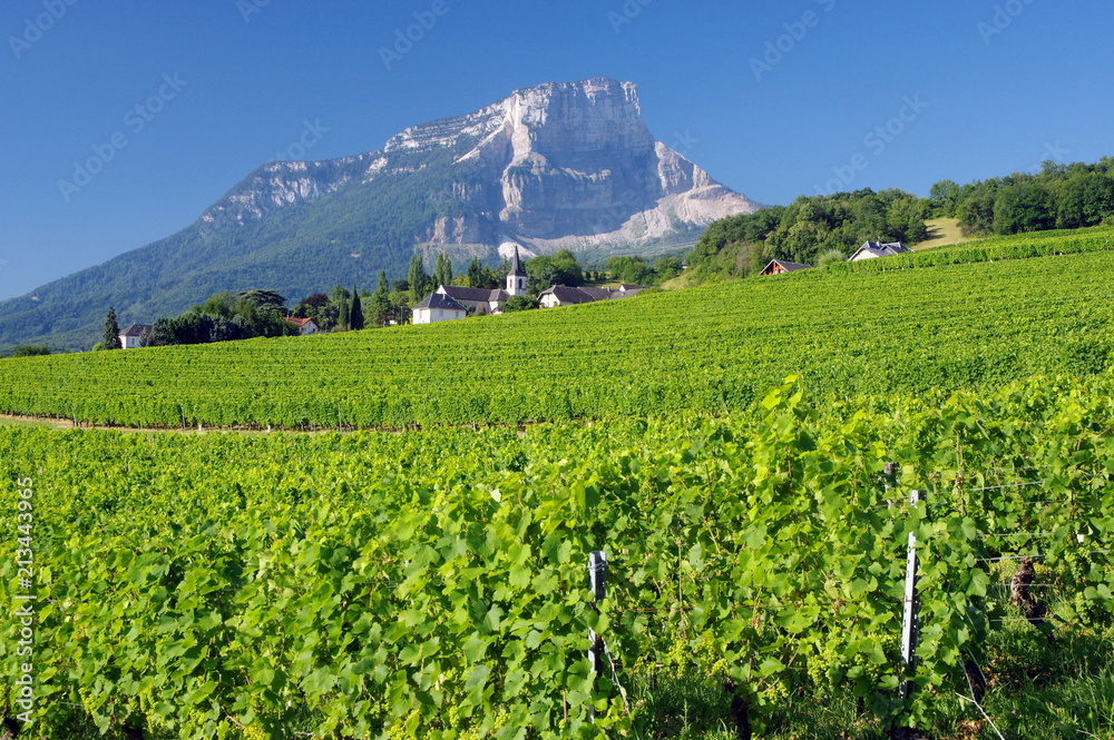 Fototapeta premium campagne de savoie