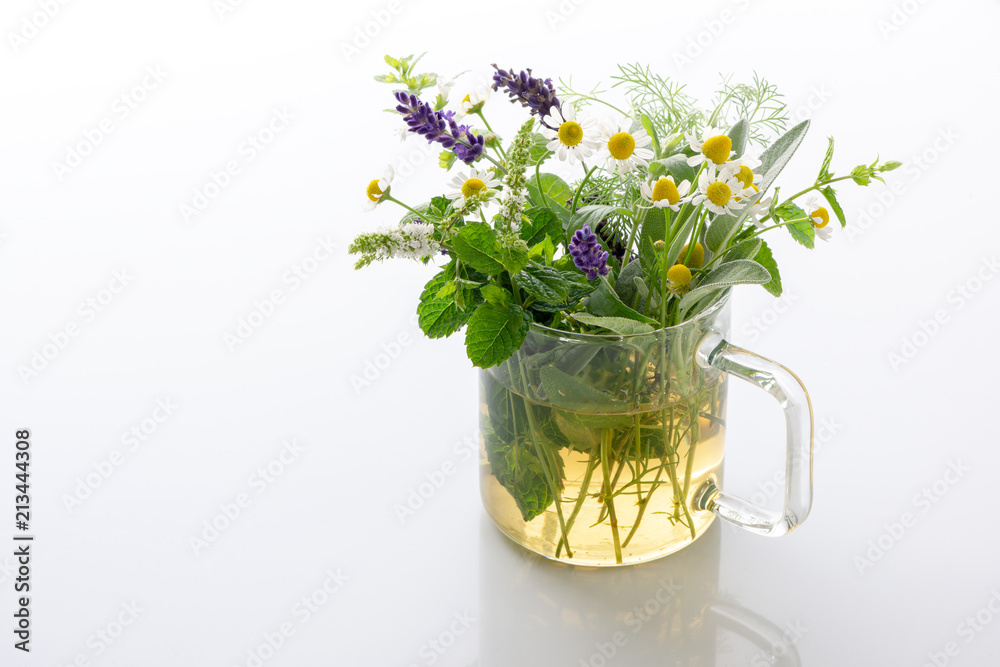 Herbal teal with fresh herbs isolated on white ground,homeopathy