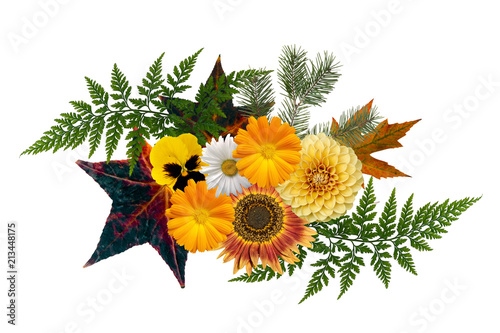 Fototapeta Naklejka Na Ścianę i Meble -  Autumn themed floral element, isolated on white. Seasonal trim.