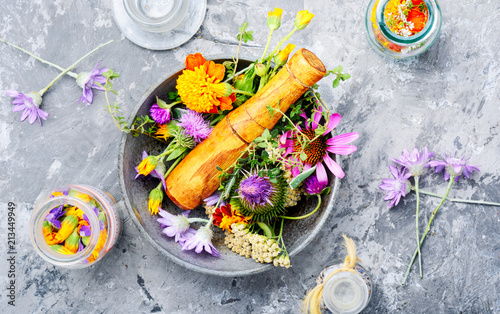 Картината върху платно Herbs medicine flowers