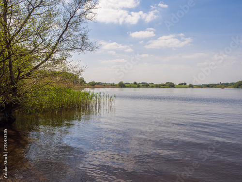 Beautiful early summer day at Pickmere Lake, Pickmere, Cheshire, UK