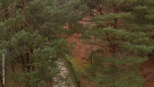 Man jogging near the trees in woods in Glendalough Lake, Ireland