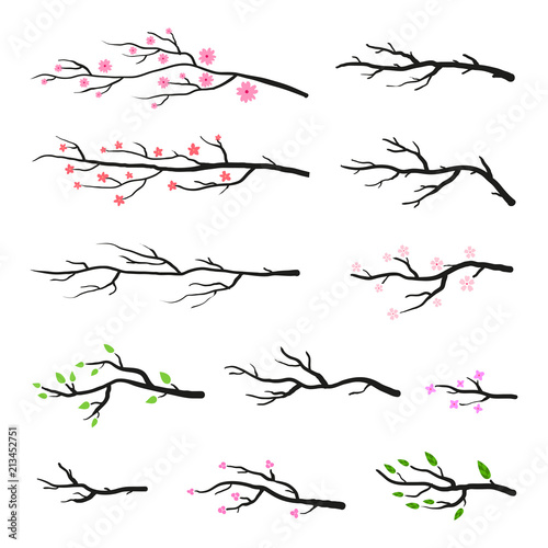 Collection of tree twigs and branches.