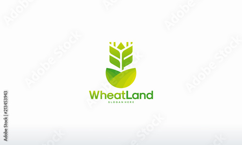 Wheat Grain Land logo designs concept vector, Agriculture wheat logo 