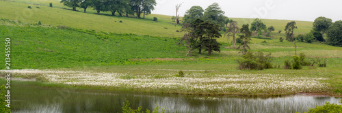 Pool at Priddy Mineries, in Somerset, UK. Cottongrass shows white on the bank of the lake in this spent lead mine, now a fabulous place for wildlife photo