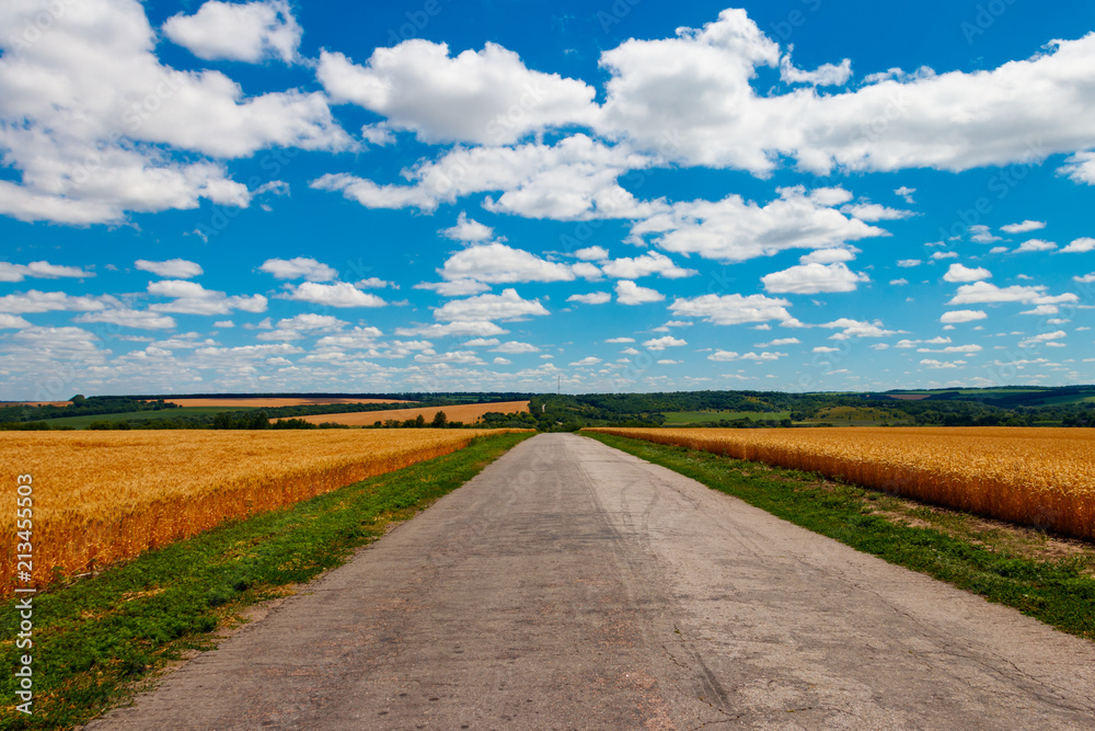 Asphalt country road through golden wheat fields and blue sky with white clouds Asphalt country road through golden wheat fields and blue sky with white clouds