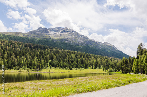 St. Moritz  Stazersee  Lej da Staz  Bergsee  Uferweg  Stazerwald  Badesee  Wanderweg  Oberengadin  Engadin  Alpen  Graub  nden  Sommer  Schweiz