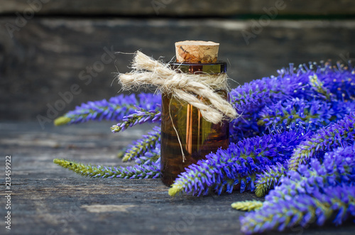 Veronica longifolia flower essential oil. Naturopathy. Herbal medicine. photo