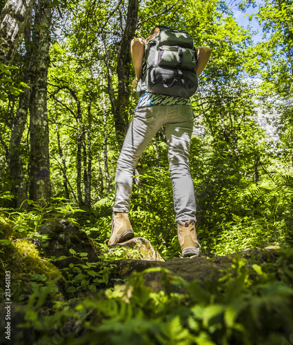 Wandern in der wildnis