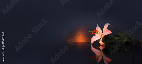 The concept of mourning. White lily flowers on a dark background. We remember, we mourn. Selective focus, close-up, side view, copy space. Banner