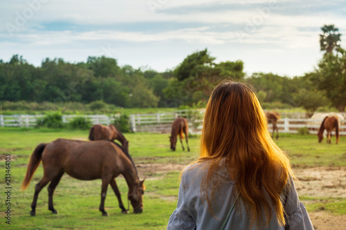 beautiful women looking horse in farmland.