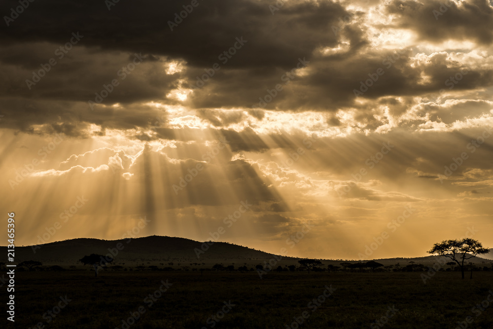 Cloudy dramatic sunset in african savannah