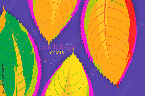 Abstract leaf colors vector wallpaper backgrounds © mapichai