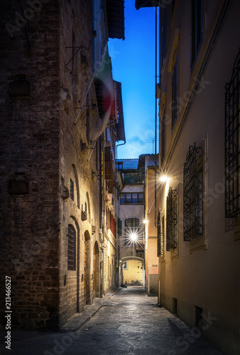 Beautiful street in Florence  Tuscany  Italy. Architecture and landmark of night Florence.