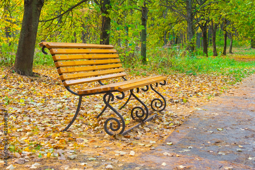 wooden bench in an autumn park wooden bench in an autumn park