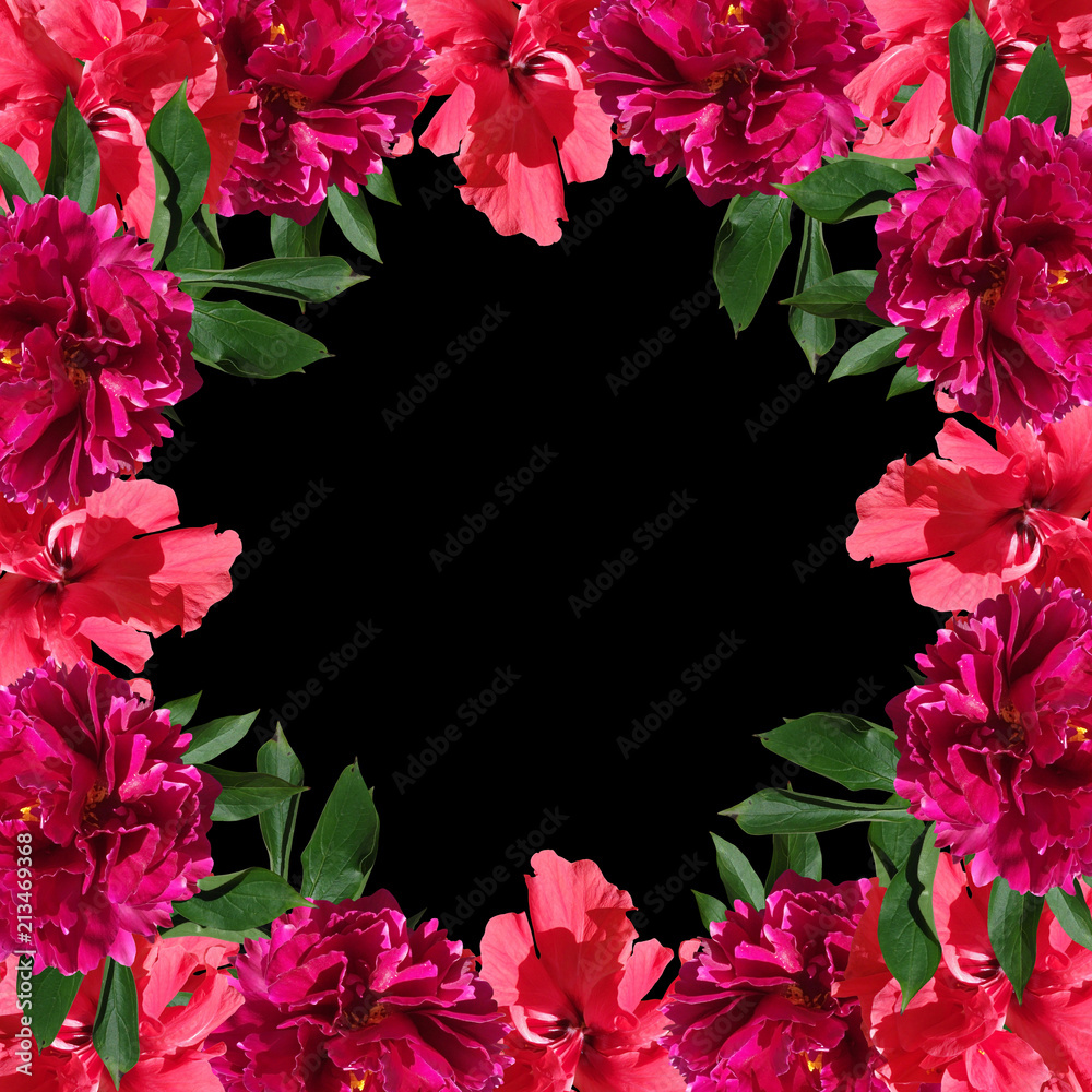 Beautiful floral background with peony and Chinese roses 