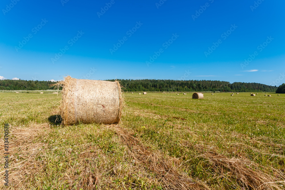Hay bale. Haystack harvest field сountryside natural landscape. Agriculture field haystacks in a village or farm with sky. Rural nature in the farm land. Straw on the meadow. Grain crop, harvesting.
