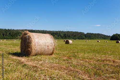 Closeup Hay bale. Haystack harvest field сountryside natural landscape. Agriculture field haystacks in a village or farm with sky. Rural nature in the farm land. Straw on the meadow. Harvesting.