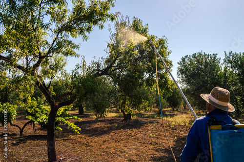 Man farmer spraying the trees of crop field with phytosanitary products. Treatment of plants with pesticide to prevent fungi, pests and diseases. photo