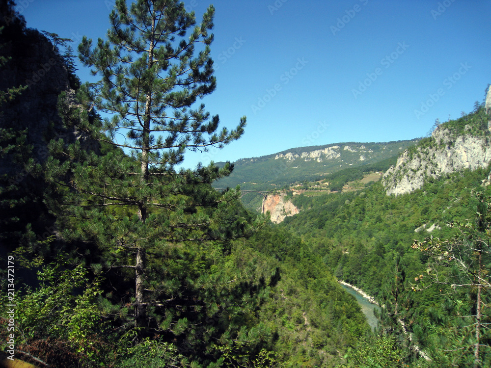 landscape, mountain, sky, nature, mountains, green, blue, forest, tree, trees, summer, view, hill, panorama, valley, rock, grass, beautiful, travel, cloud, clouds, scenery, panoramic, scenic, environm