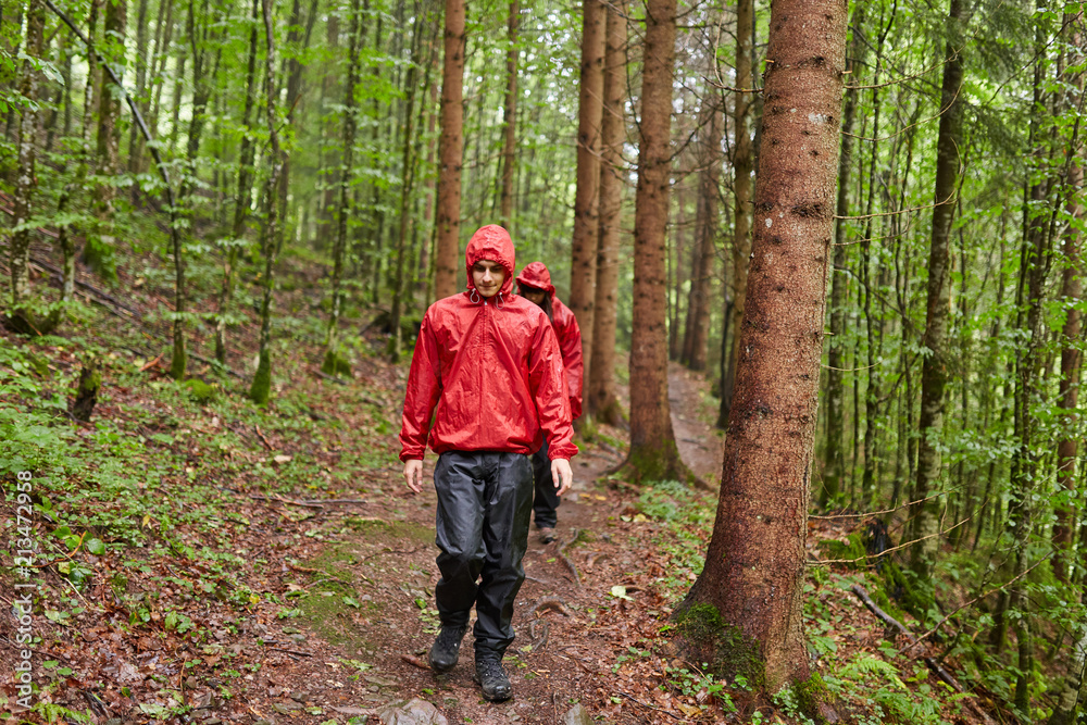 Obraz premium People hiking into the forest