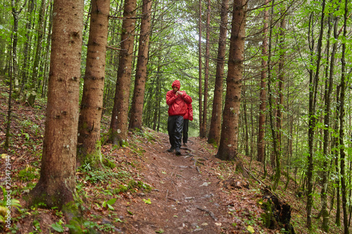 People hiking into the forest