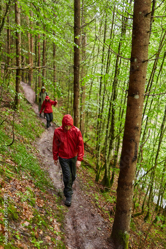 People hiking into the forest