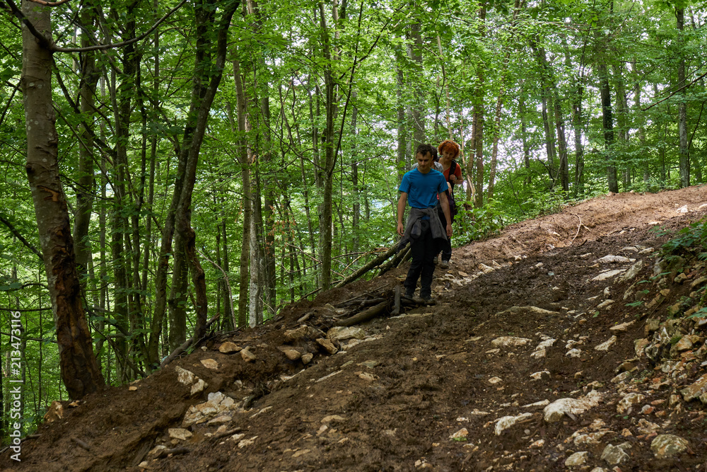 Naklejka premium People hiking into the forest