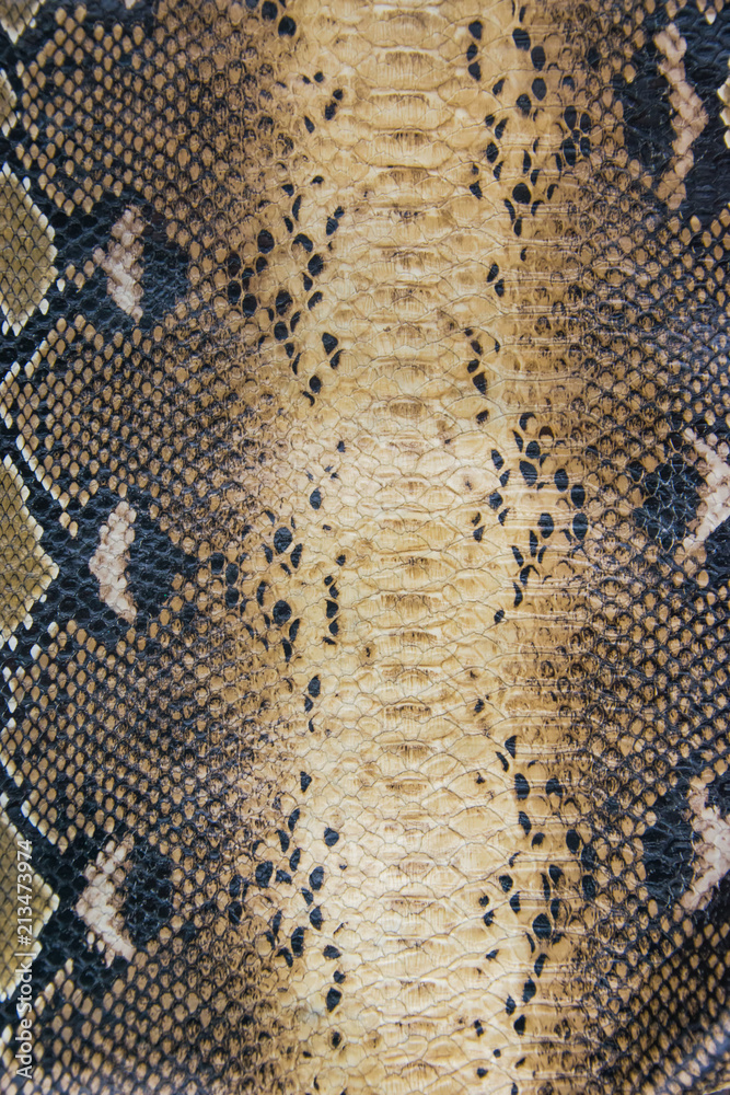 leather python background Stock Photo | Adobe Stock