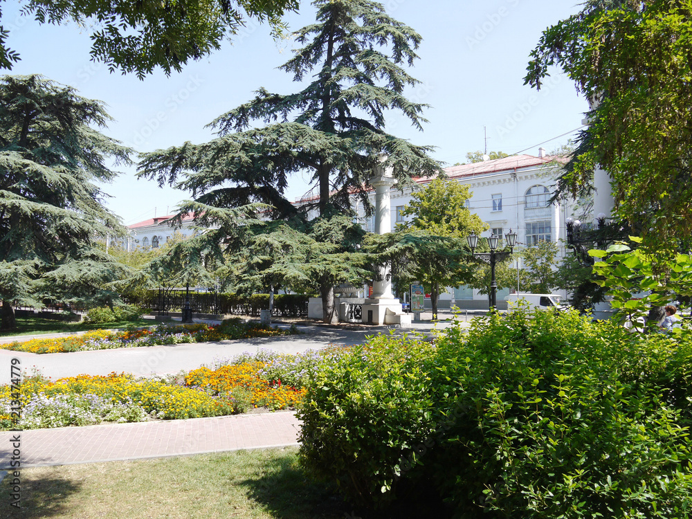 exit from a beautiful blooming park to the carriageway of the city with houses