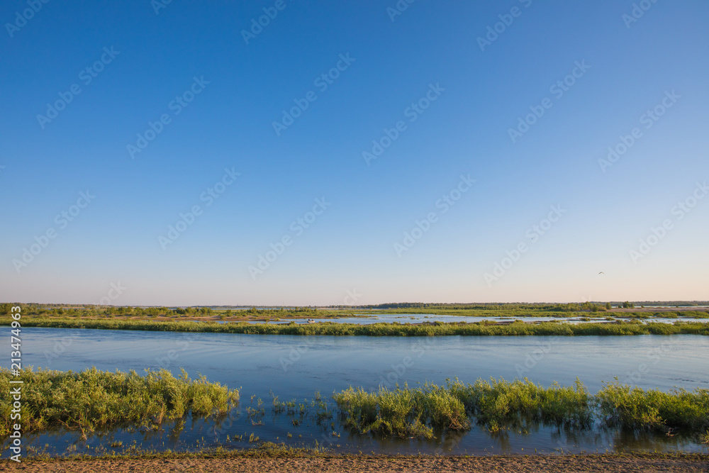 The branch of Volga river near Volgograd with bushes near the bank in the clear summer day