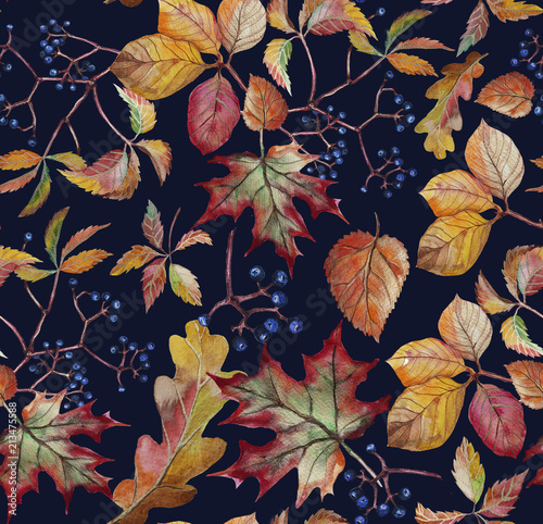 Wallpaper Mural Autumn leaves with wild grapes, background. Autumn seamless watercolor pattern. fall Torontodigital.ca