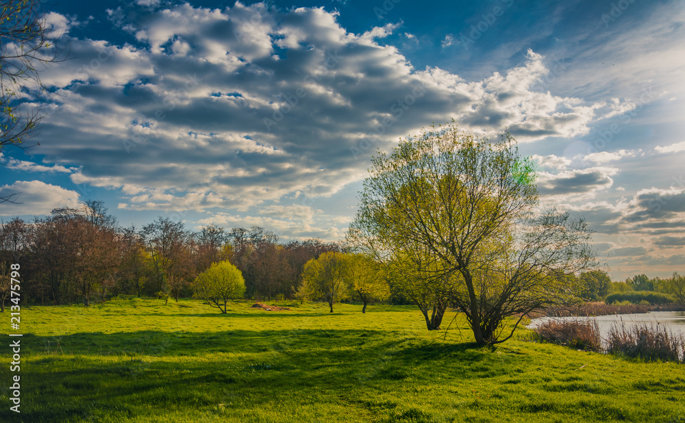 Spring landscape Spring landscape