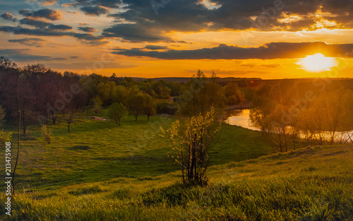 Spring landscape