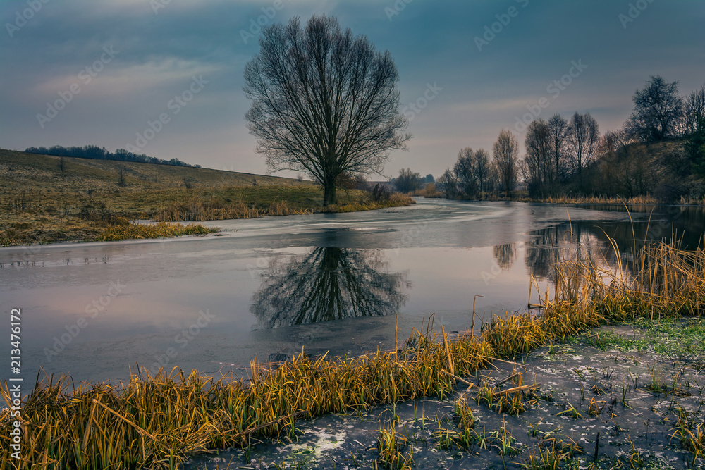 Fototapeta premium River in early spring