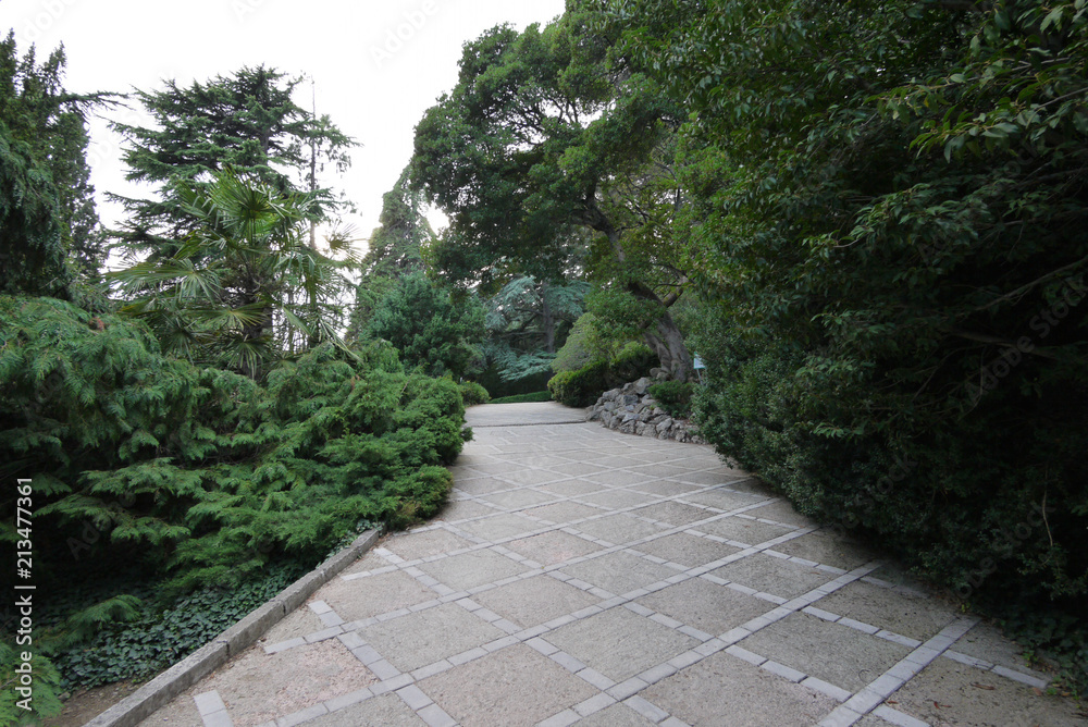 Stone-tiled walking park alley with green decorative plots and flowers on the sides